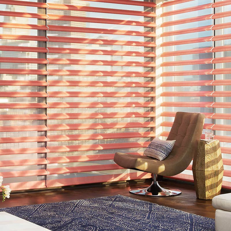 Dark brown window shades with red plant on top of a white table
